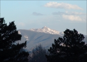 Photos