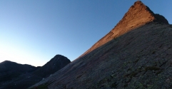 Photos