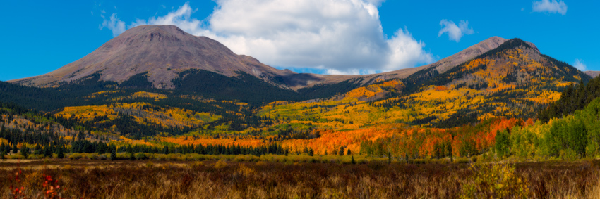 Buffalo Peaks Fall Colors Panorama