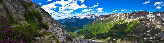 Vegetation and Geneva Lake panoramic