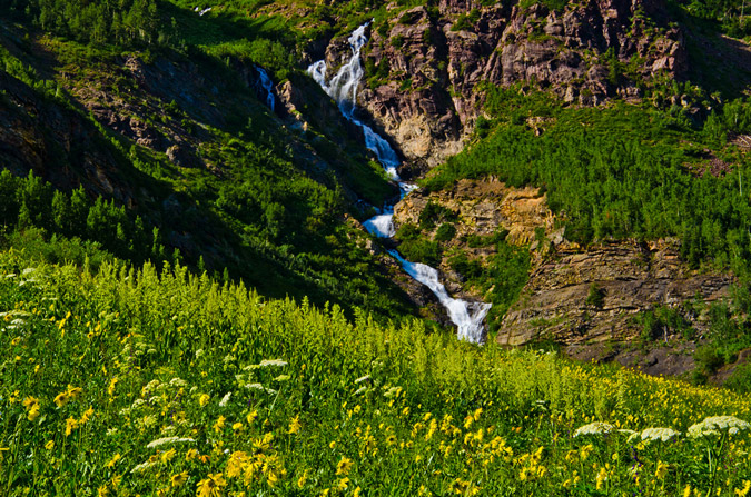 Wildflowers and a waterfall in the Elk Mountains