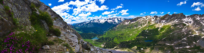 Vegetation and Geneva Lake panoramic
