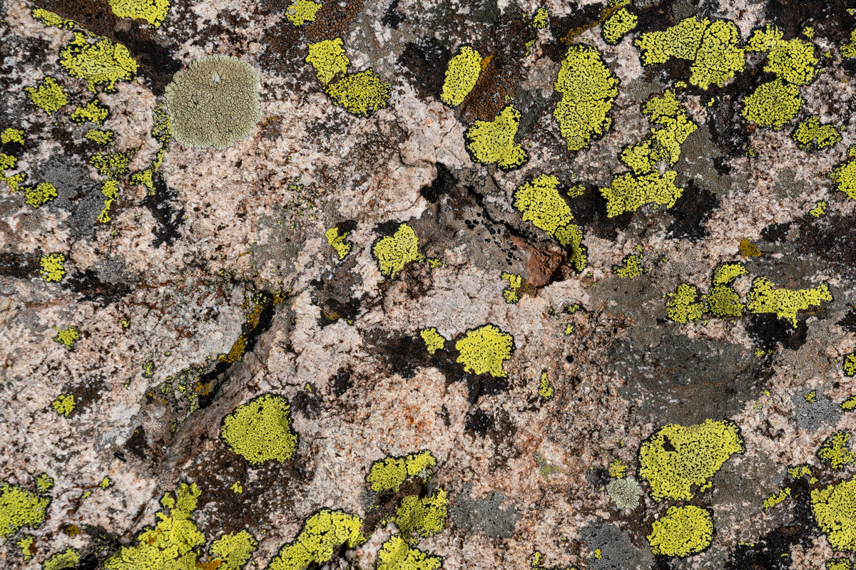 Mossy Rock abstract