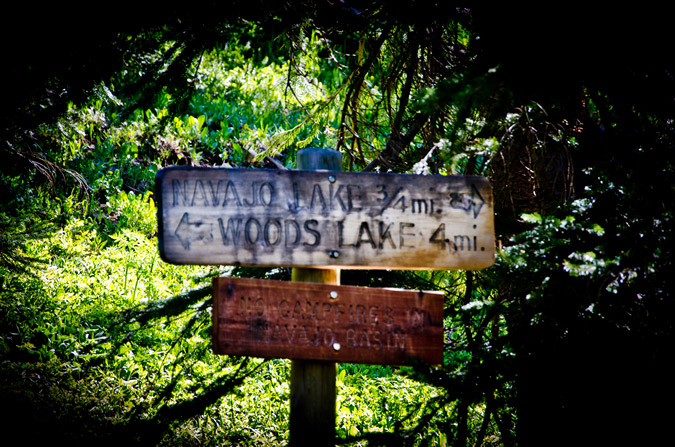 Woods Lake Sign